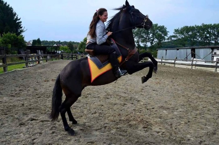 Photo de profil de estellegreco