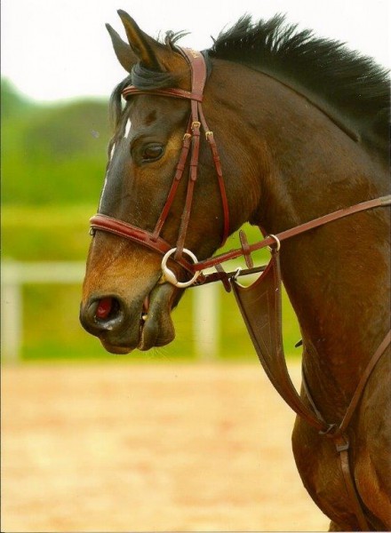 Photo de profil de estelle_ov