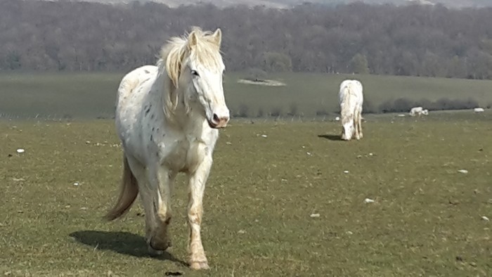 Photo de profil de etoileslie