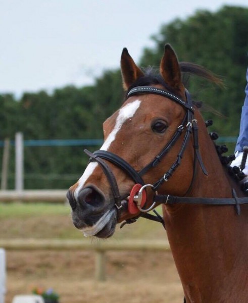 Photo de profil de eva99