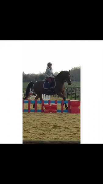 Photo de profil de evemthn