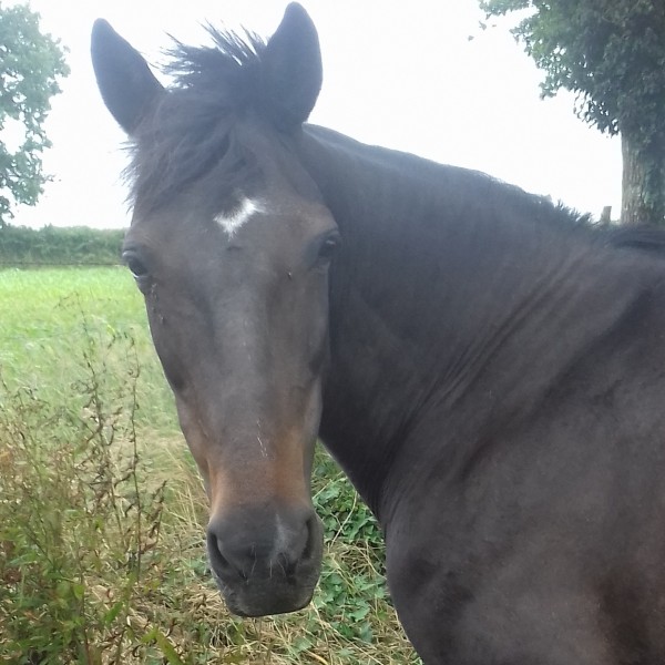 Photo de profil de evrest49