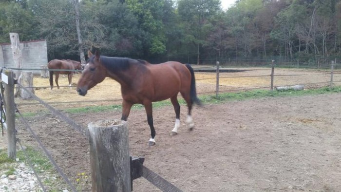 Photo de profil de fabricem