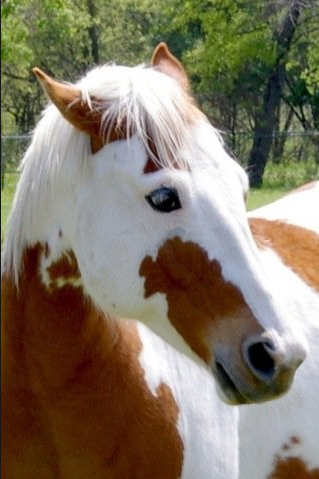 Photo de profil de fanny.kupfer