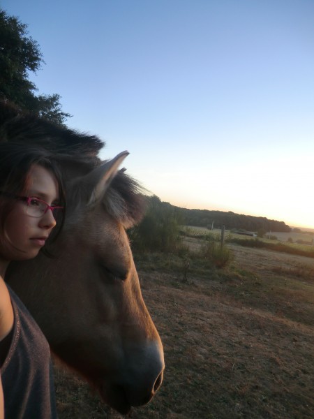 Photo de profil de fefehorse