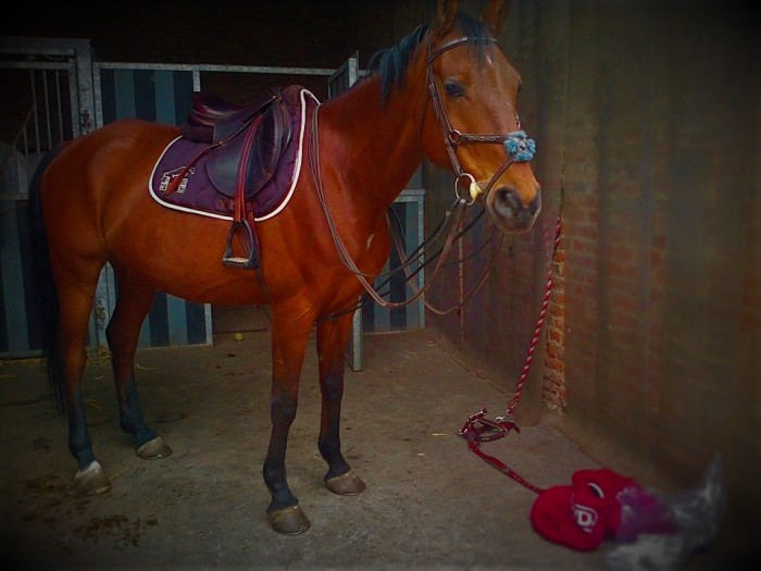 Photo de profil de feliciamarie