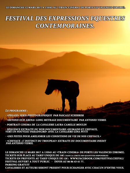 Photo de profil de festival_cheval