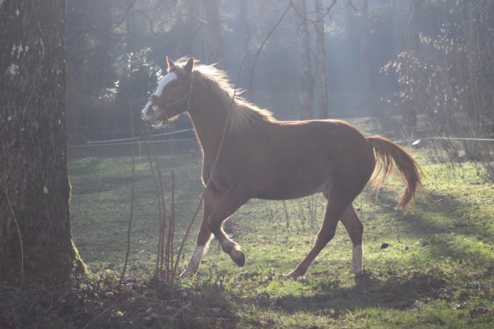 Photo de profil de fionabrl