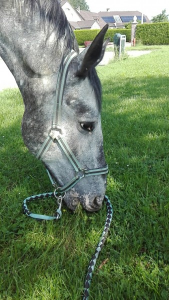 Photo de profil de flo_evy