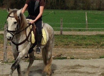 Photo de profil de garancecheval