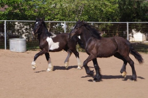 Photo de profil de garcia074