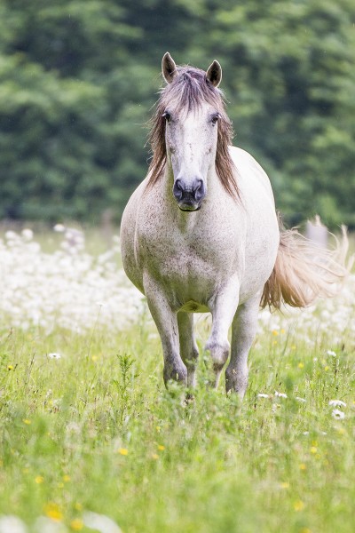 Photo de profil de gdesbois