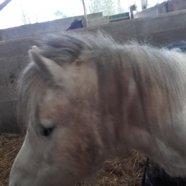 Photo de profil de giant.mon.manqu