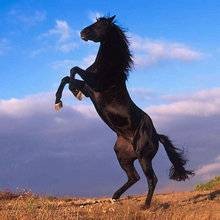 Photo de profil de giroudmarion
