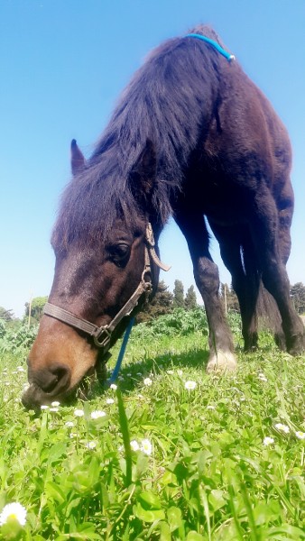 Photo de profil de gogoclo13