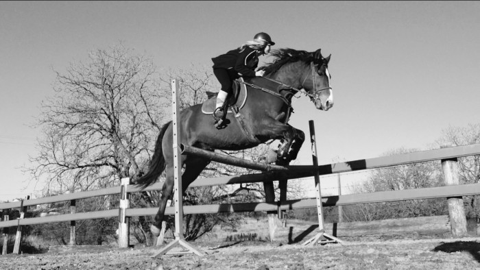 Photo de profil de gombertm54