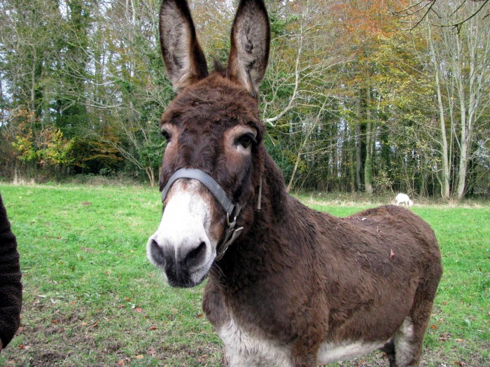Photo de profil de gwennolette