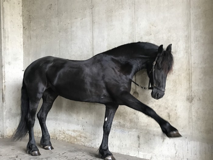 Photo de profil de helene75.