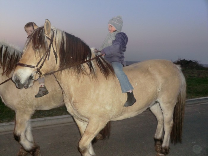 Photo de profil de horsehoyez
