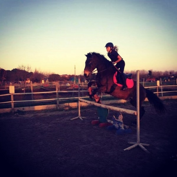 Photo de profil de horse_lola