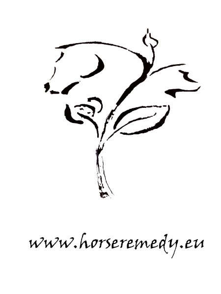Photo de profil de horseremedy