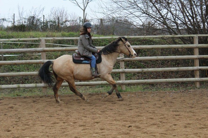 Photo de profil de horsewestern