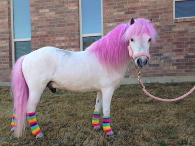 Photo de profil de hortense222