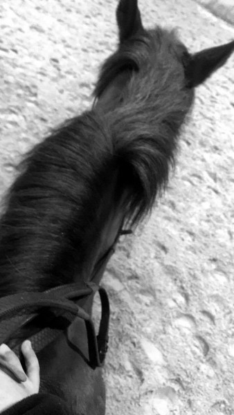 Photo de profil de indiana59