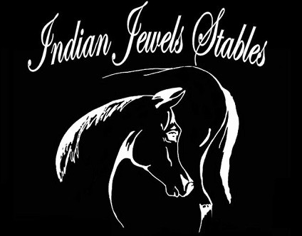 Photo de profil de indian_jewels