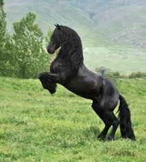 Photo de profil de indylola