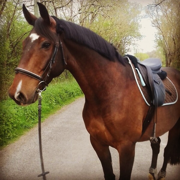 Photo de profil de i.ripault