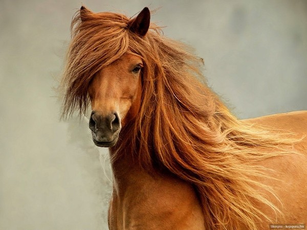 Photo de profil de jadeetvero