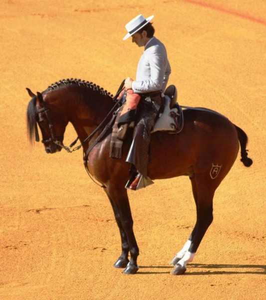 Photo de profil de jeanmichael