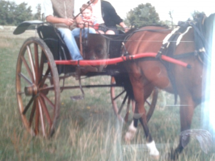 Photo de profil de jeanmichel03200