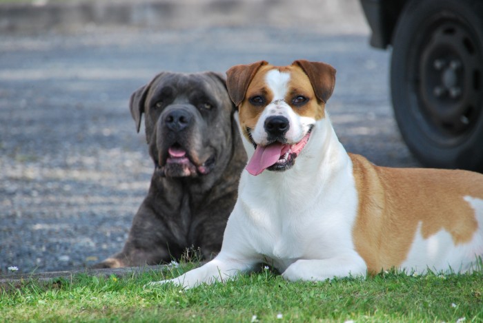 Photo de profil de jennydes