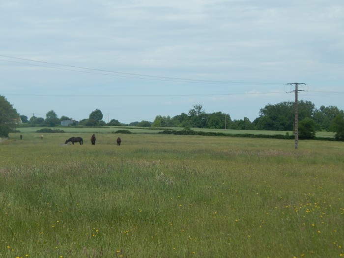 Photo de profil de jerome