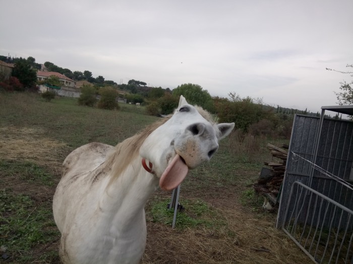 Photo de profil de jessie1105