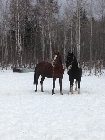 Photo de profil de jim_bella