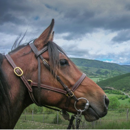 Photo de profil de jupitaire