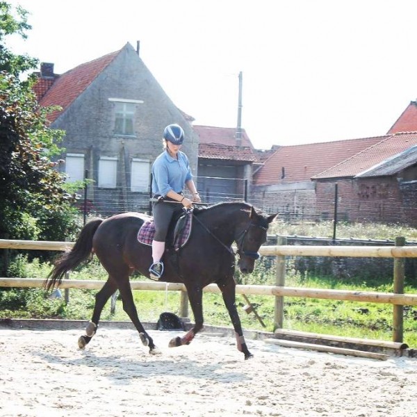 Photo de profil de juyrider