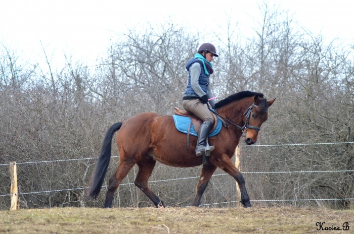 Photo de profil de kellycavaliere