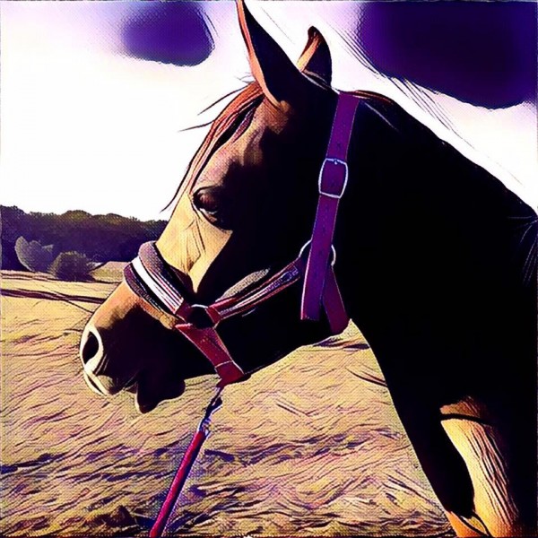Photo de profil de kenzanora