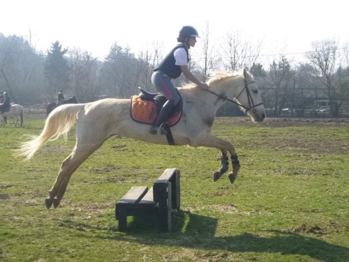 Photo de profil de kerralozano