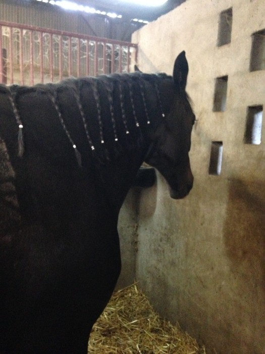 Photo de profil de klairy