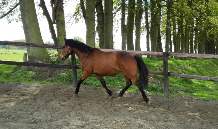 Photo de profil de ktbperin