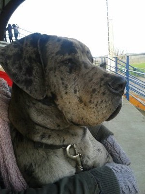 Photo de profil de kyou