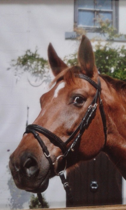 Photo de profil de kytona09