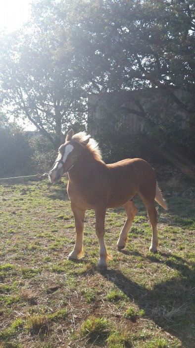 Photo de profil de laeti2801