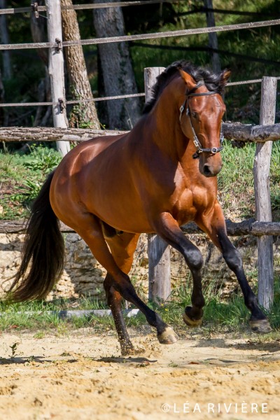 Photo de profil de lagoudelie