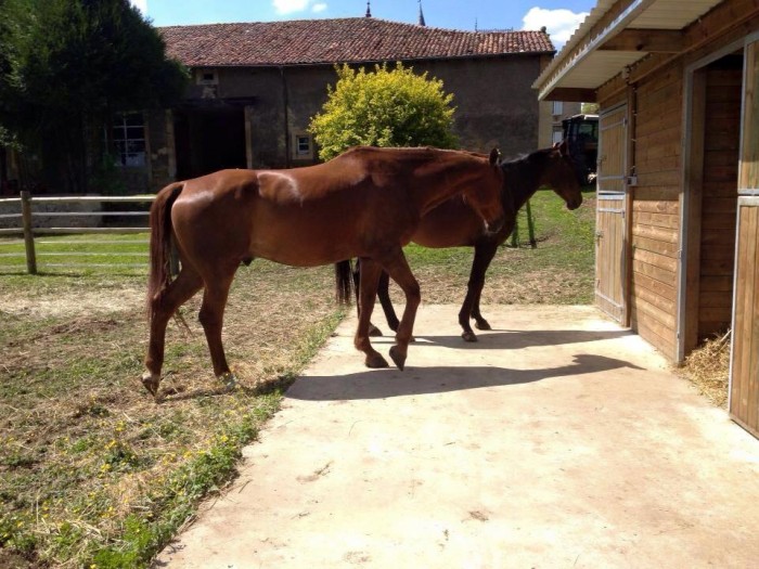 Photo de profil de lailaesther